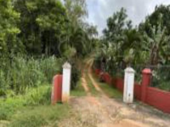 First image of Box 1489- Newport P.o. in Newport, Manchester, Jamaica - property is For Sale