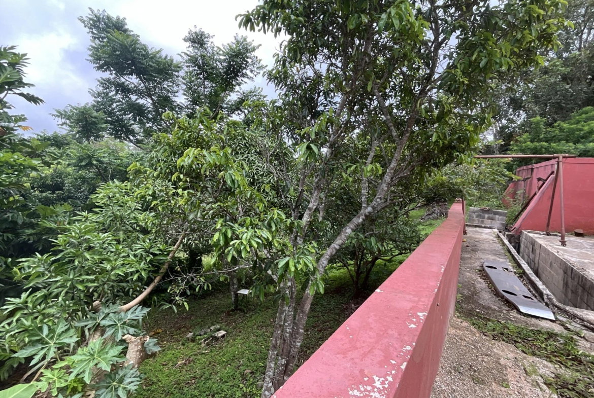 Ninth image of Box 1489- Newport P.o. in Newport, Manchester, Jamaica - property is For Sale