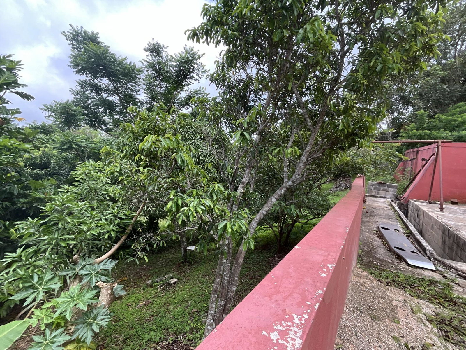Ninth image of Box 1489- Newport P.o. in Newport, Manchester, Jamaica - property is For Sale