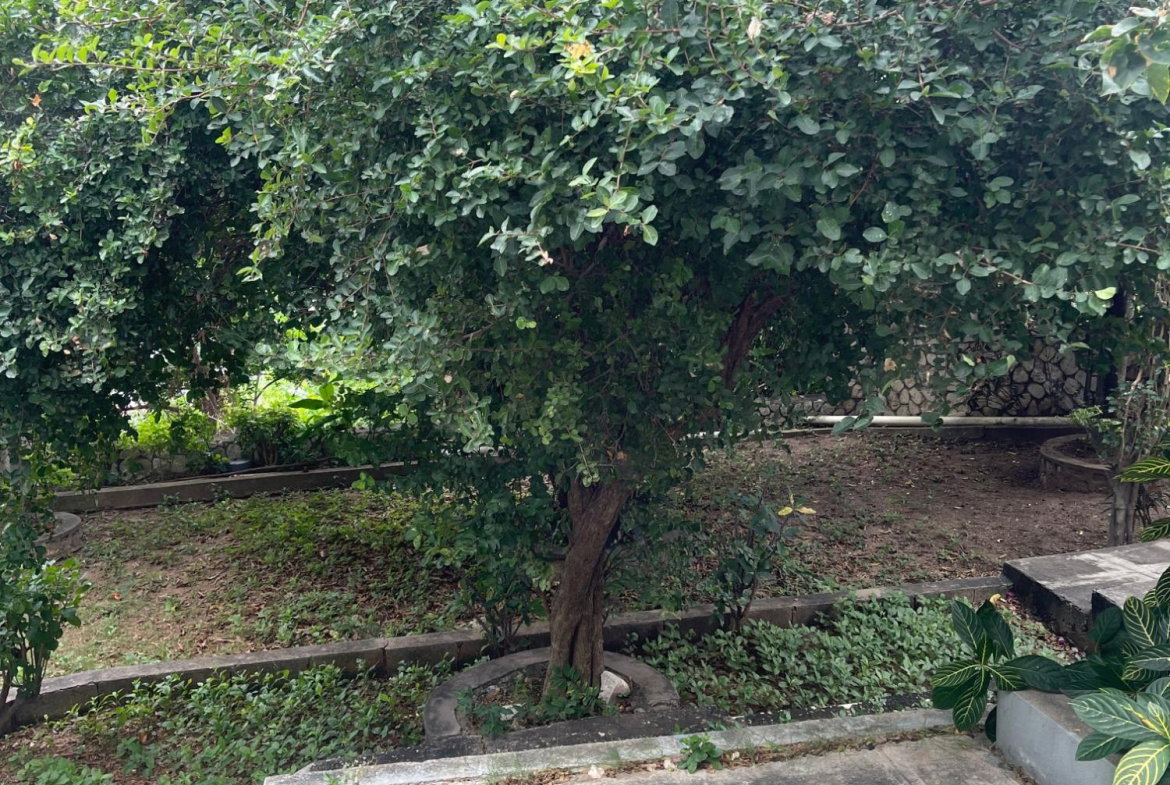 Third image of 15 Marie Road in Kingston 19, St. Andrew, Jamaica - property is For Sale