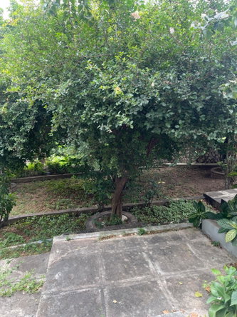 Third image of 15 Marie Road in Kingston 19, St. Andrew, Jamaica - property is For Sale