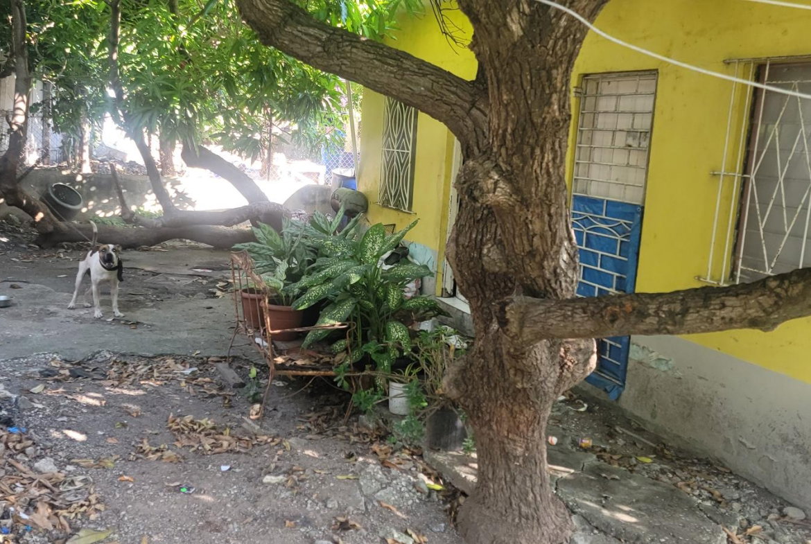 Eleventh image of 7 Orion Avenue, Harbour Vie in HARBOUR VIEW, St. Andrew, Jamaica - property is For Sale