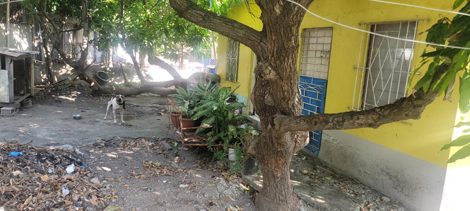 Eleventh image of 7 Orion Avenue, Harbour Vie in HARBOUR VIEW, St. Andrew, Jamaica - property is For Sale