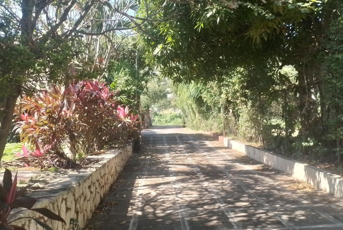 Second image of Forest Hills in Red Hills, St. Andrew, Jamaica - property is For Sale