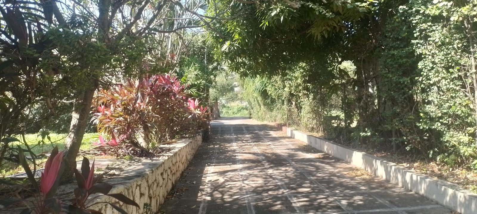 Second image of Forest Hills in Red Hills, St. Andrew, Jamaica - property is For Sale