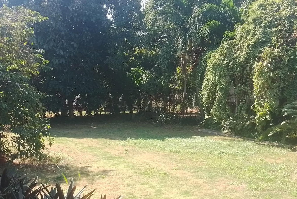 Third image of Forest Hills in Red Hills, St. Andrew, Jamaica - property is For Sale