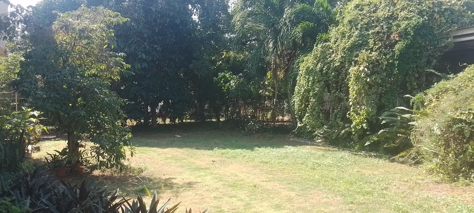 Third image of Forest Hills in Red Hills, St. Andrew, Jamaica - property is For Sale