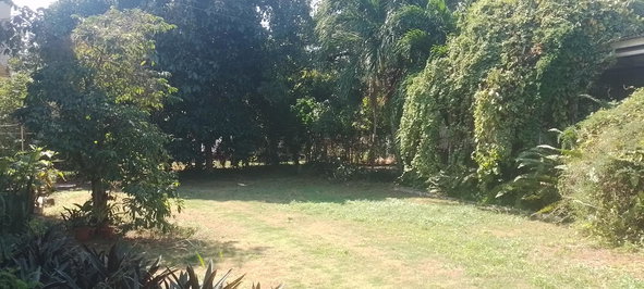 Third image of Forest Hills in Red Hills, St. Andrew, Jamaica - property is For Sale