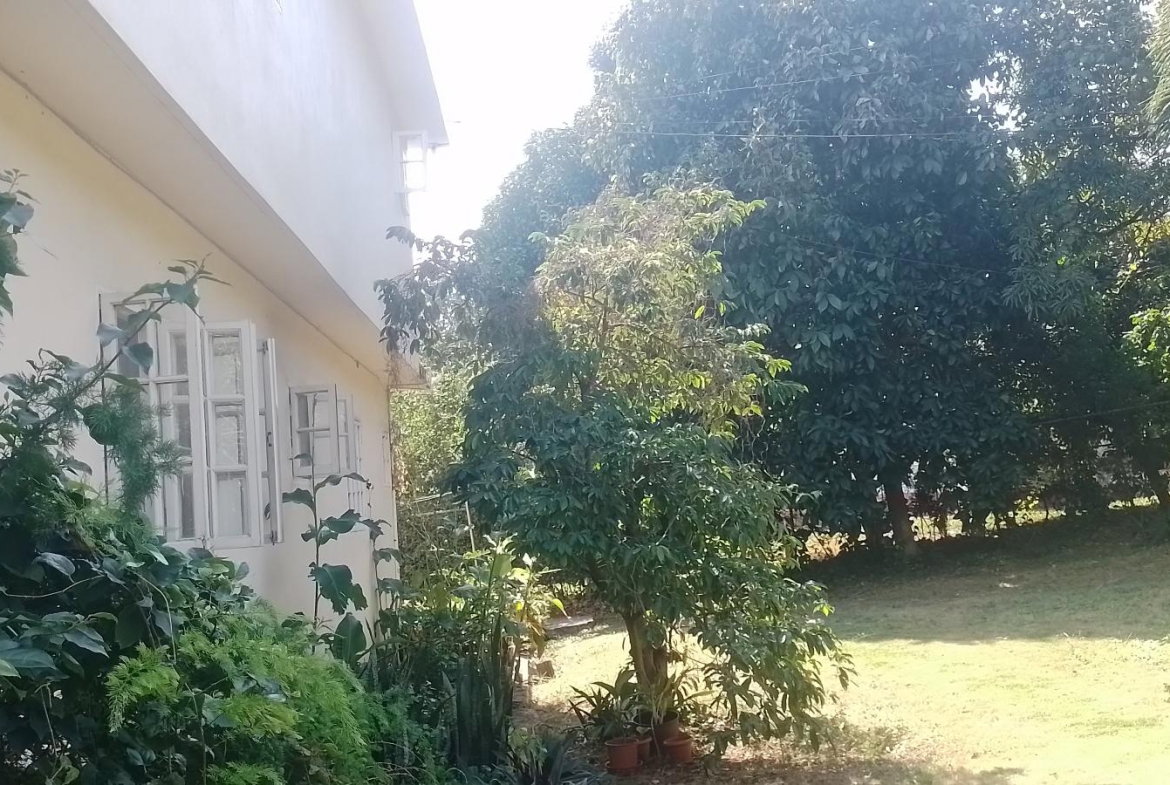 Fifth image of Forest Hills in Red Hills, St. Andrew, Jamaica - property is For Sale