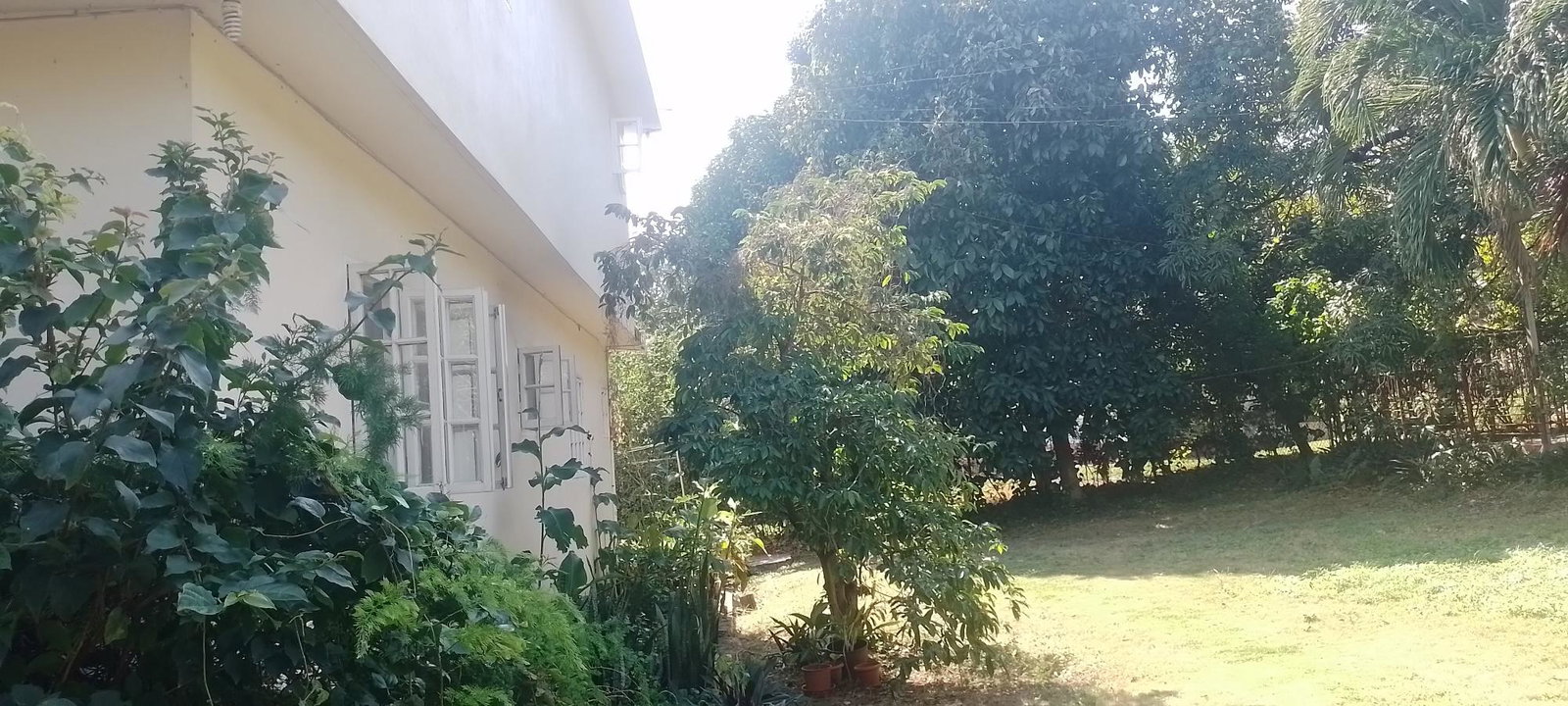 Fifth image of Forest Hills in Red Hills, St. Andrew, Jamaica - property is For Sale