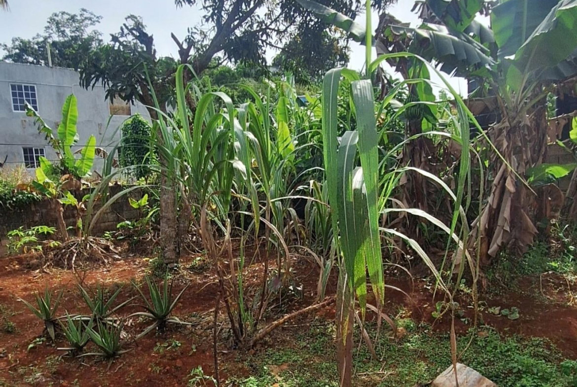 Tenth image of 23 Kyora Drive, Georges Vall in Georges Valley, Manchester, Jamaica - property is For Sale