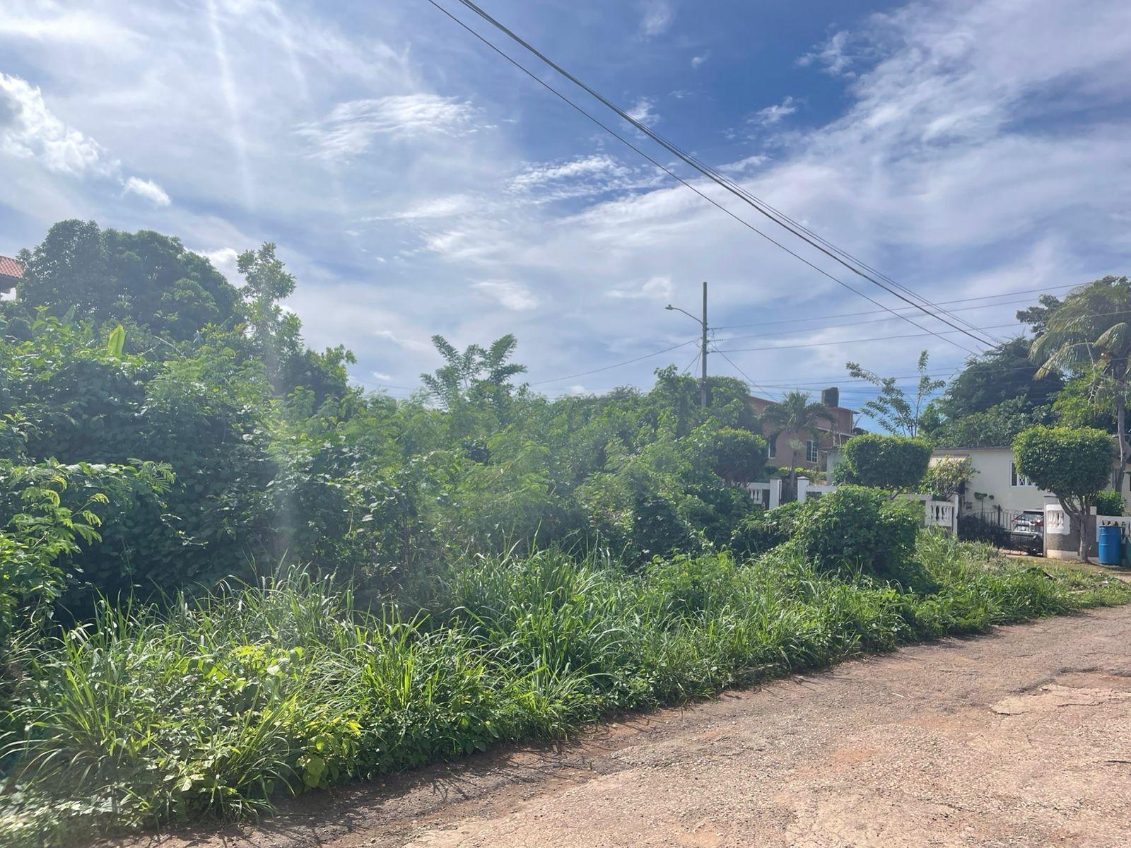 Spacious-Residential-Lot-for-Sale-in-Frenchmans-Heights-St.-Catherine Second image of Lot 125 Frenchmans Boulevard Fren in Spanish Town, St. Catherine, Jamaica - property is For Sale