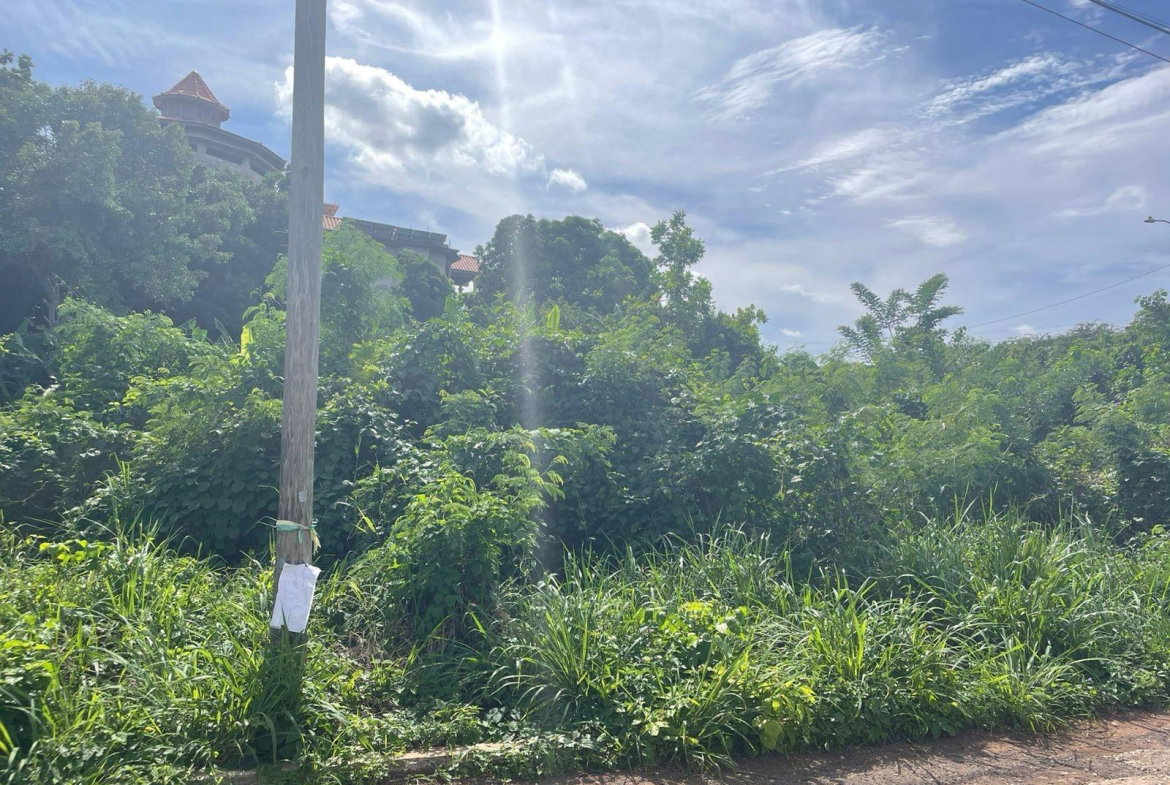 Third image of Lot 125 Frenchmans Boulevard Fren in Spanish Town, St. Catherine, Jamaica - property is For Sale