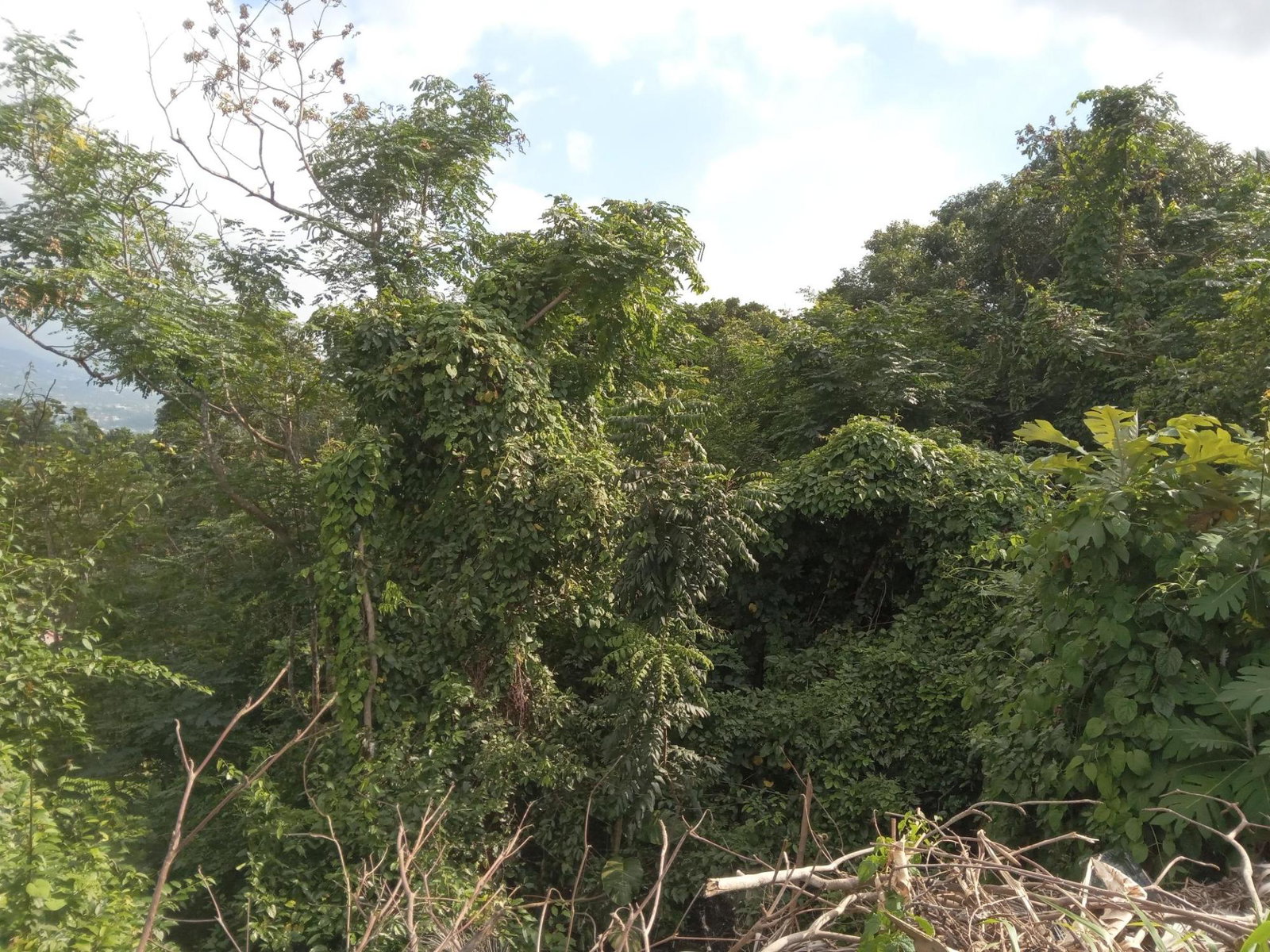 Thirteenth image of 279 Aries Avenue Smokey Vale in Kingston 8, St. Andrew, Jamaica - property is For Sale
