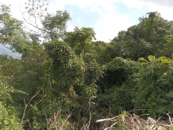 Thirteenth image of 279 Aries Avenue Smokey Vale in Kingston 8, St. Andrew, Jamaica - property is For Sale