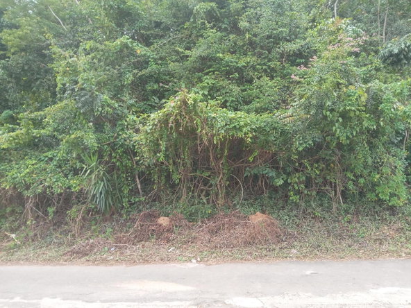 Seventh image of 279 Aries Avenue Smokey Vale in Kingston 8, St. Andrew, Jamaica - property is For Sale