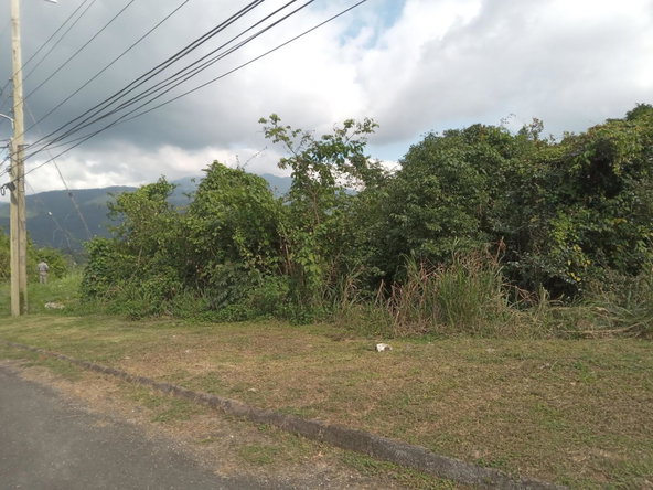 Ninth image of 279 Aries Avenue Smokey Vale in Kingston 8, St. Andrew, Jamaica - property is For Sale