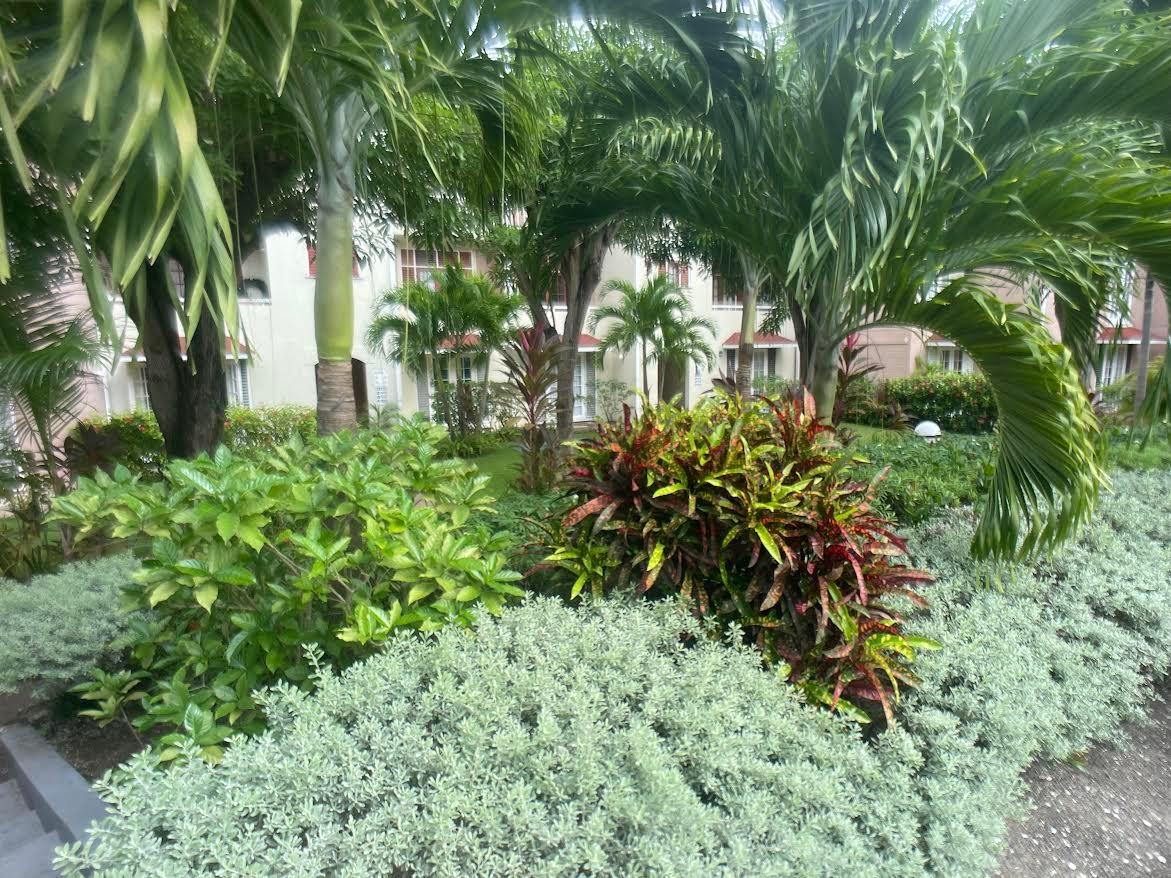 Fifteenth image of 4- Fisherman's Point, Ocho r in Ocho Rios, St. Ann, Jamaica - property is For Sale