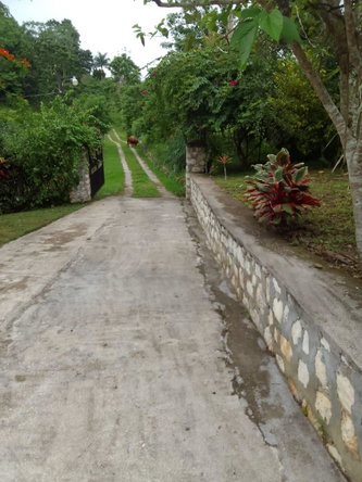 Sixth image of Higgin Town, st Ann in Lime Hall, St. Ann, Jamaica - property is For Sale