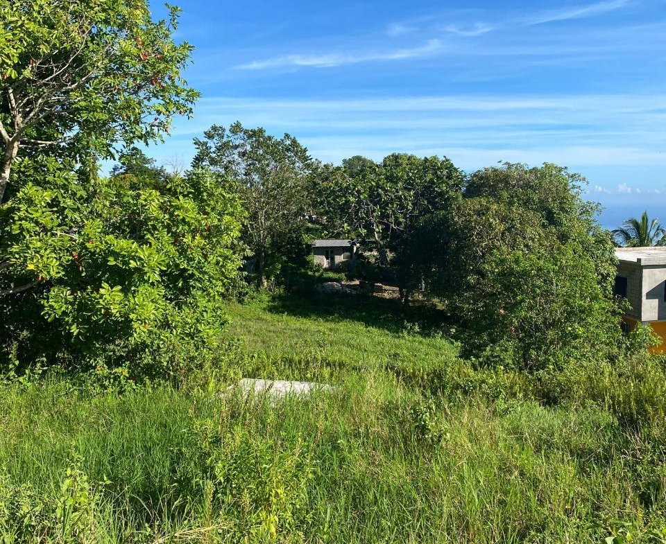 Fourth image of Cottage, Beecher Town in Beecher Town, St. Ann, Jamaica - property is For Sale