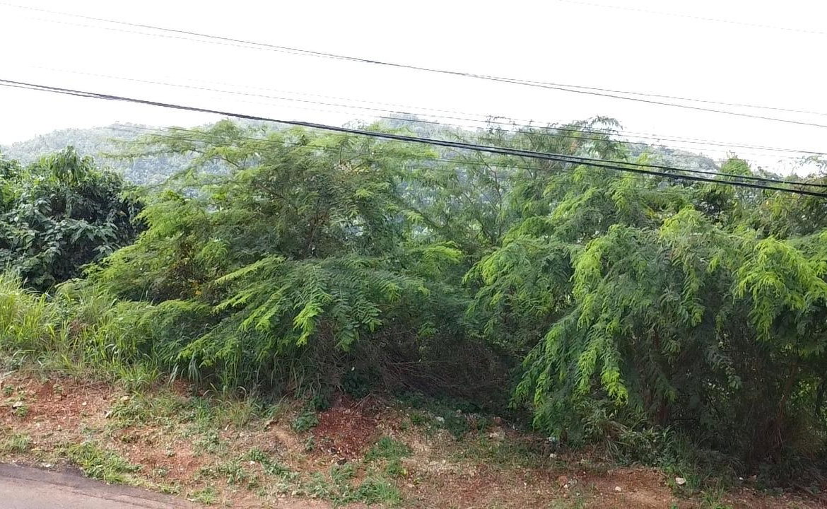 Eleventh image of Amethyst Drive in Kingston 19, St. Andrew, Jamaica - property is For Sale