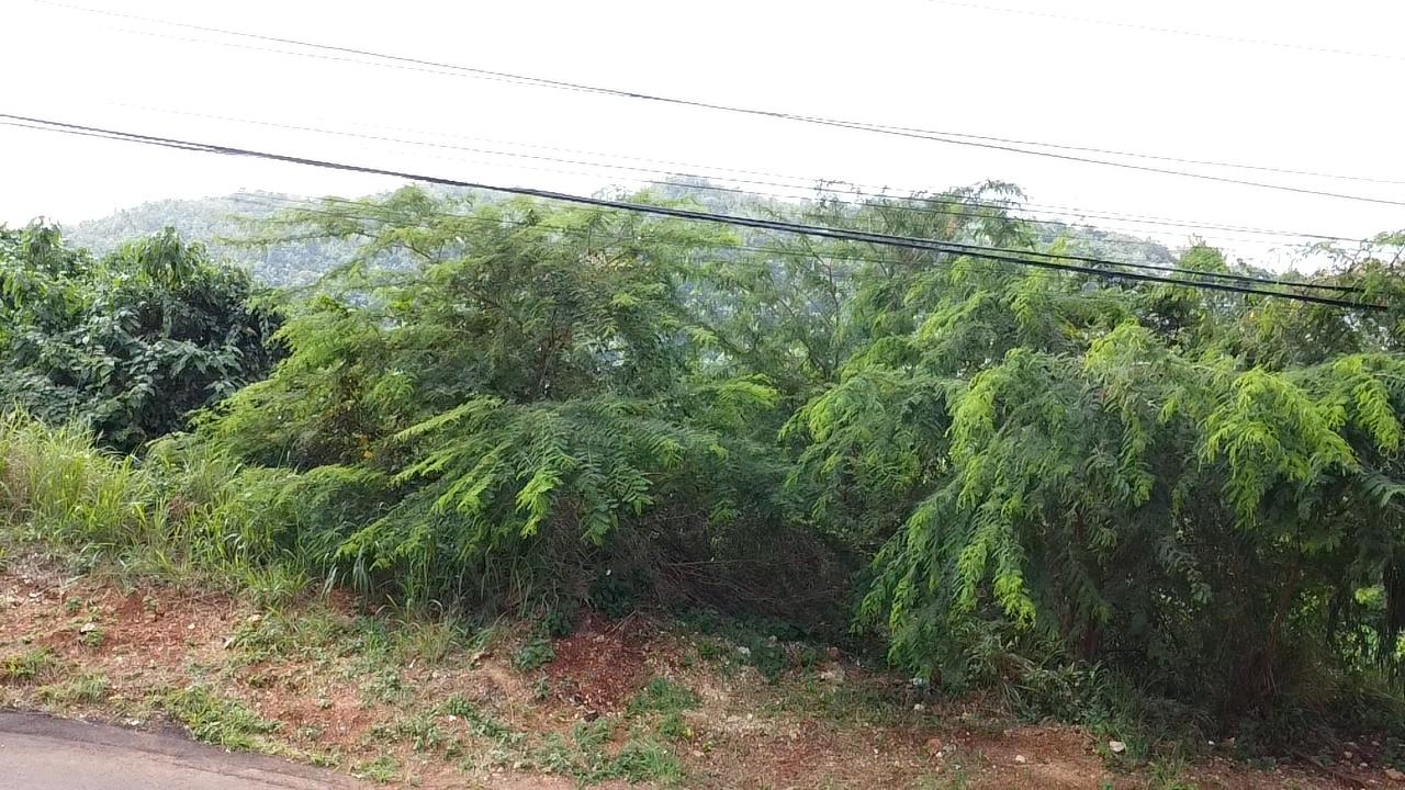 Stunning-Residential-Lot-for-Sale-in-Red-Hills-St.-Andrew-Build-Your-Dream-Home Eleventh image of Amethyst Drive in Kingston 19, St. Andrew, Jamaica - property is For Sale