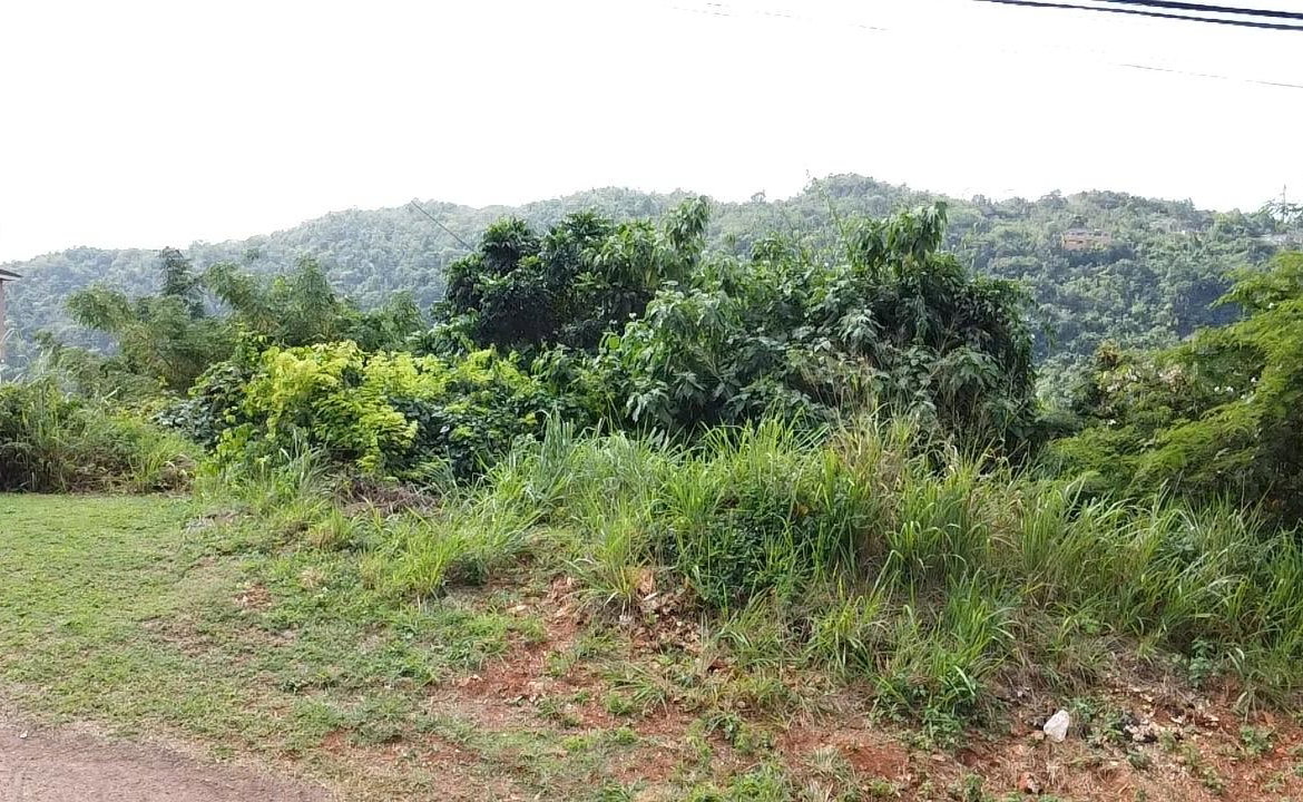 Twelfth image of Amethyst Drive in Kingston 19, St. Andrew, Jamaica - property is For Sale