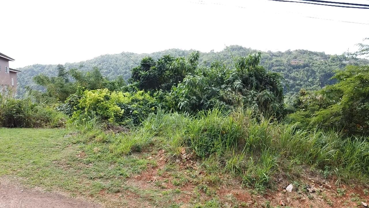 Stunning-Residential-Lot-for-Sale-in-Red-Hills-St.-Andrew-Build-Your-Dream-Home Twelfth image of Amethyst Drive in Kingston 19, St. Andrew, Jamaica - property is For Sale
