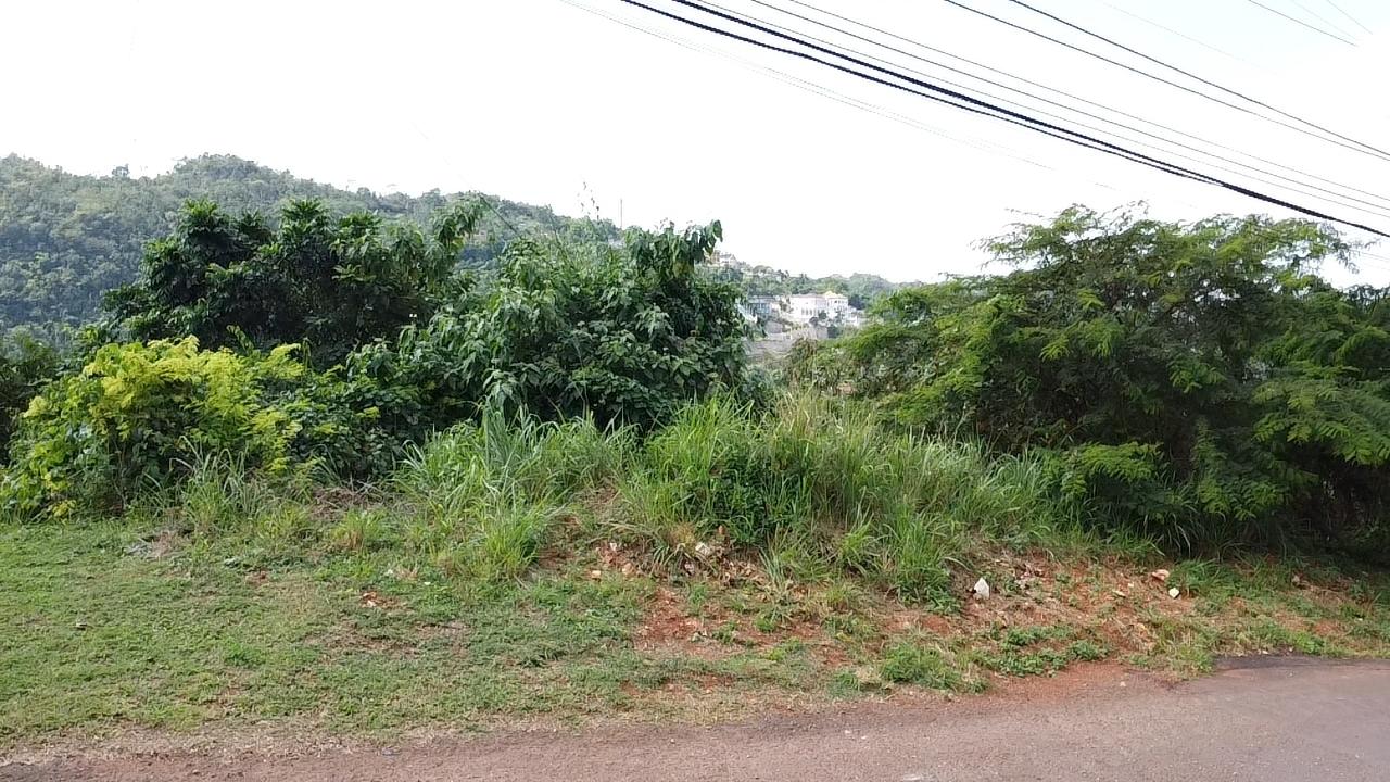 Stunning-Residential-Lot-for-Sale-in-Red-Hills-St.-Andrew-Build-Your-Dream-Home Thirteenth image of Amethyst Drive in Kingston 19, St. Andrew, Jamaica - property is For Sale