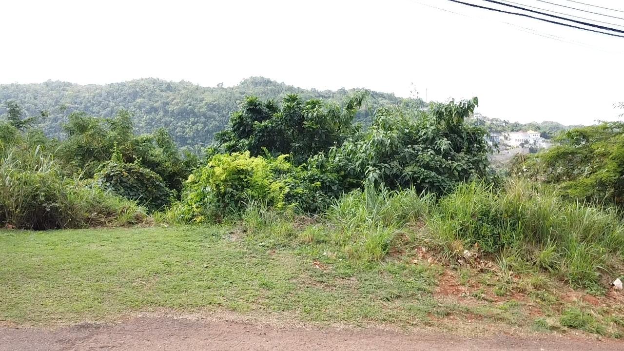 Stunning-Residential-Lot-for-Sale-in-Red-Hills-St.-Andrew-Build-Your-Dream-Home Fourteenth image of Amethyst Drive in Kingston 19, St. Andrew, Jamaica - property is For Sale