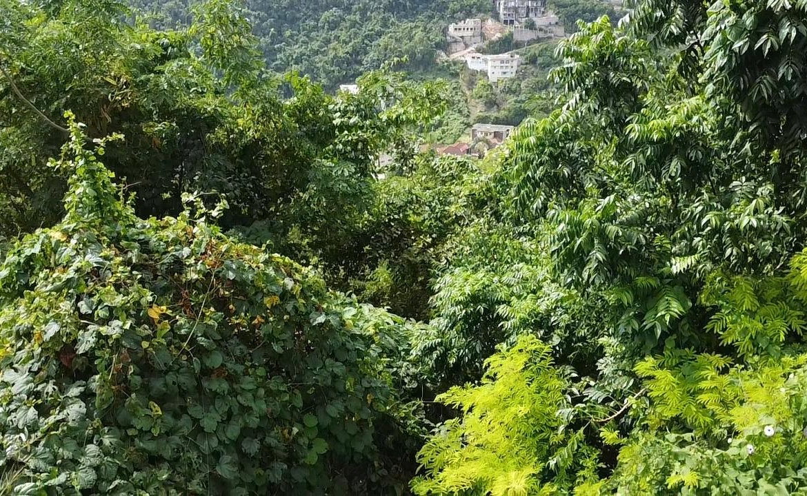 Fifteenth image of Amethyst Drive in Kingston 19, St. Andrew, Jamaica - property is For Sale