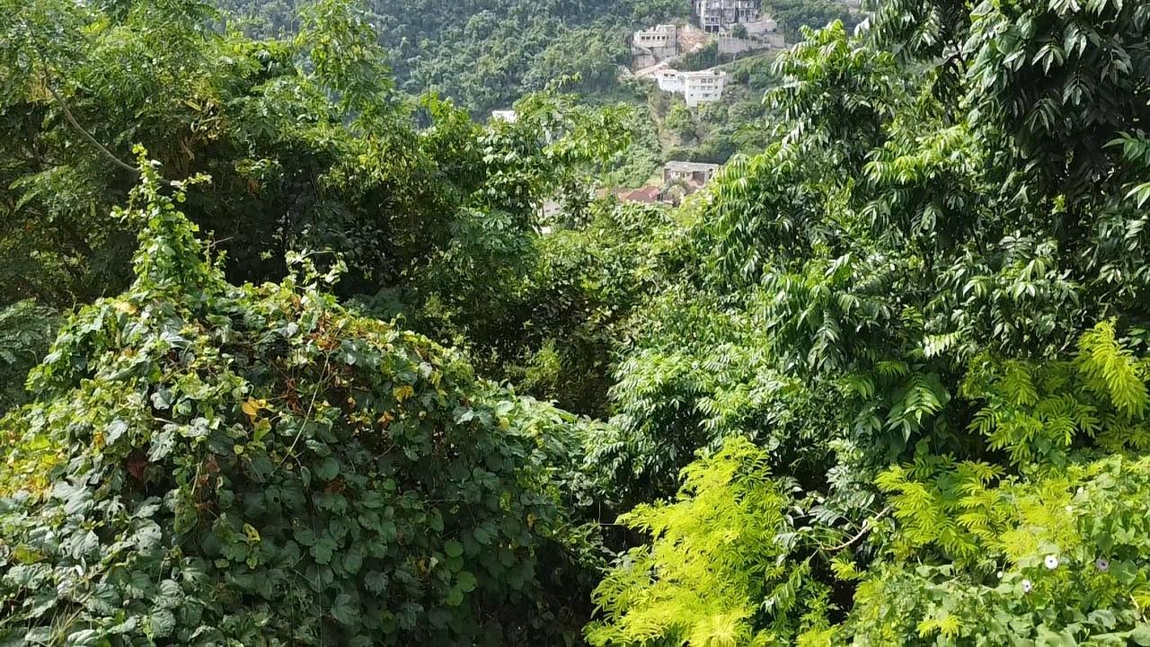 Stunning-Residential-Lot-for-Sale-in-Red-Hills-St.-Andrew-Build-Your-Dream-Home Fifteenth image of Amethyst Drive in Kingston 19, St. Andrew, Jamaica - property is For Sale