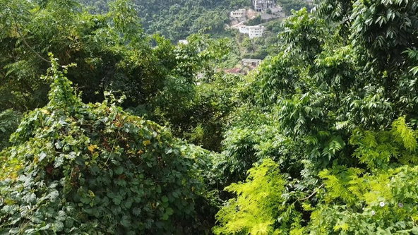 Fifteenth image of Amethyst Drive in Kingston 19, St. Andrew, Jamaica - property is For Sale