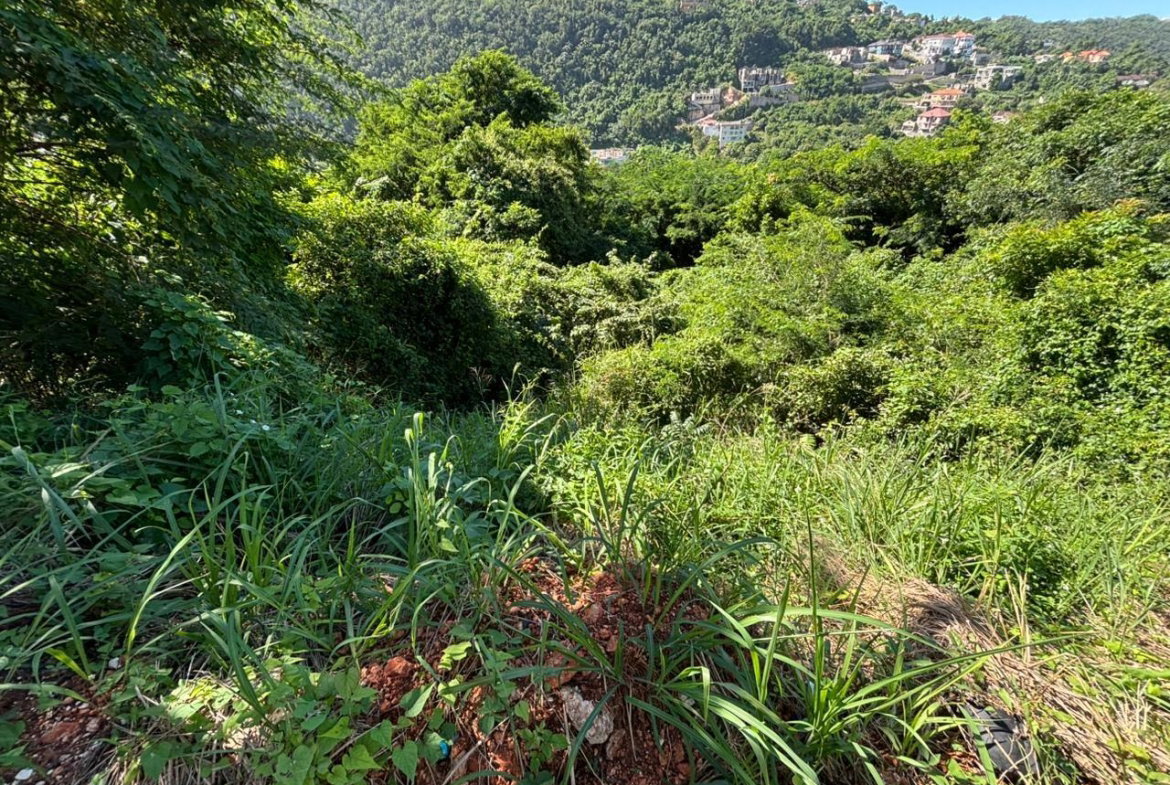 Seventh image of Amethyst Drive in Kingston 19, St. Andrew, Jamaica - property is For Sale