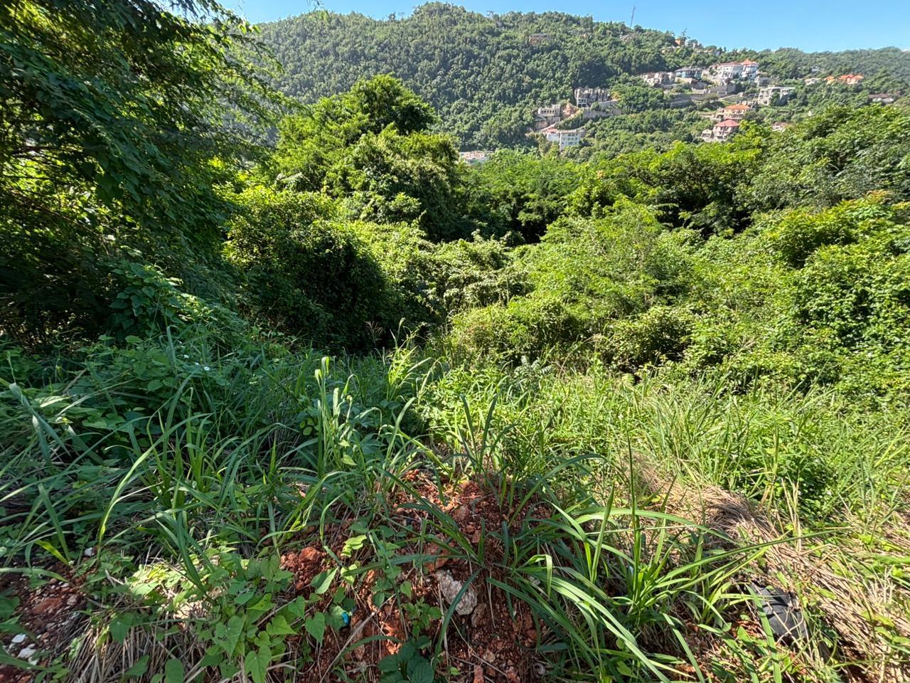 Stunning-Residential-Lot-for-Sale-in-Red-Hills-St.-Andrew-Build-Your-Dream-Home Seventh image of Amethyst Drive in Kingston 19, St. Andrew, Jamaica - property is For Sale