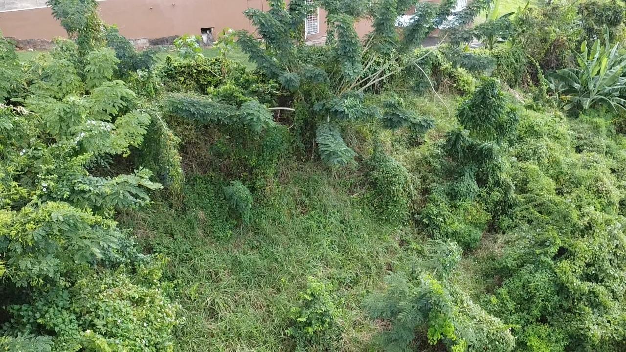 Stunning-Residential-Lot-for-Sale-in-Red-Hills-St.-Andrew-Build-Your-Dream-Home Eighth image of Amethyst Drive in Kingston 19, St. Andrew, Jamaica - property is For Sale