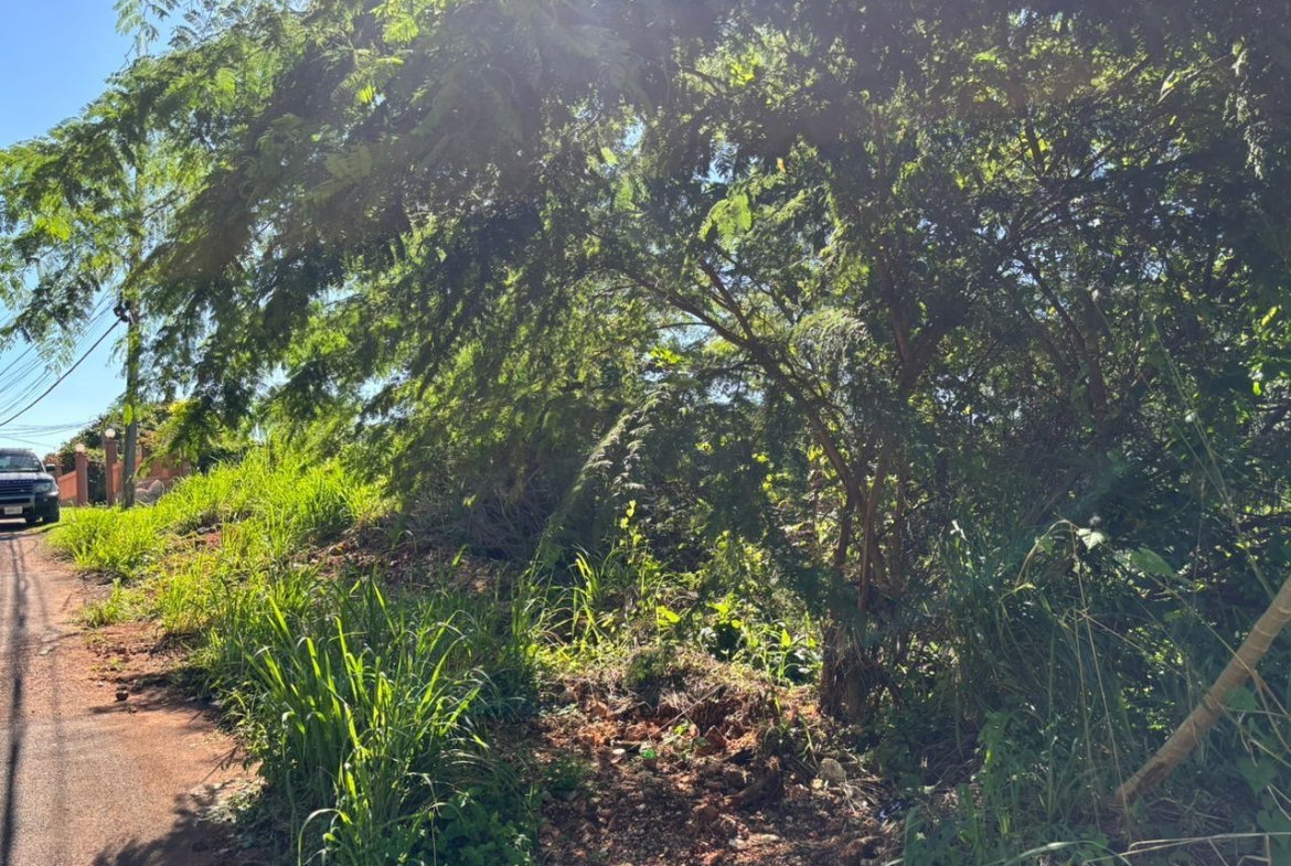 Ninth image of Amethyst Drive in Kingston 19, St. Andrew, Jamaica - property is For Sale