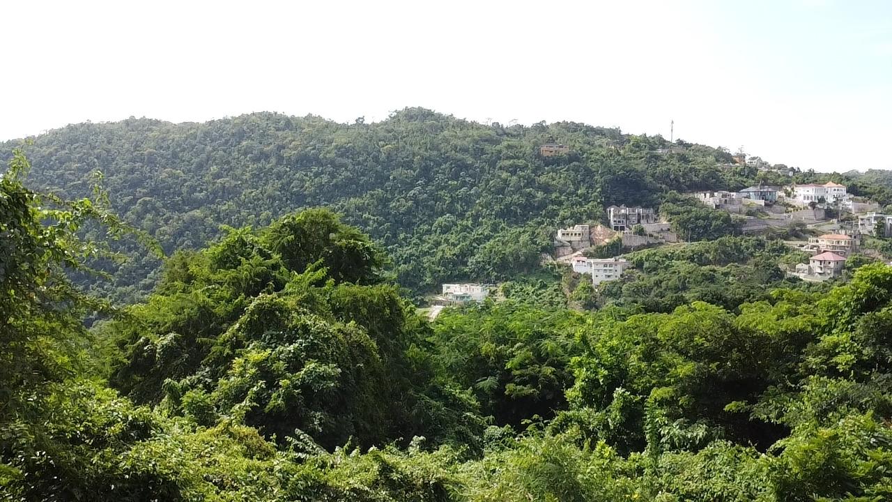 Stunning-Residential-Lot-for-Sale-in-Red-Hills-St.-Andrew-Build-Your-Dream-Home Tenth image of Amethyst Drive in Kingston 19, St. Andrew, Jamaica - property is For Sale