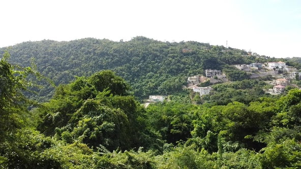 Tenth image of Amethyst Drive in Kingston 19, St. Andrew, Jamaica - property is For Sale