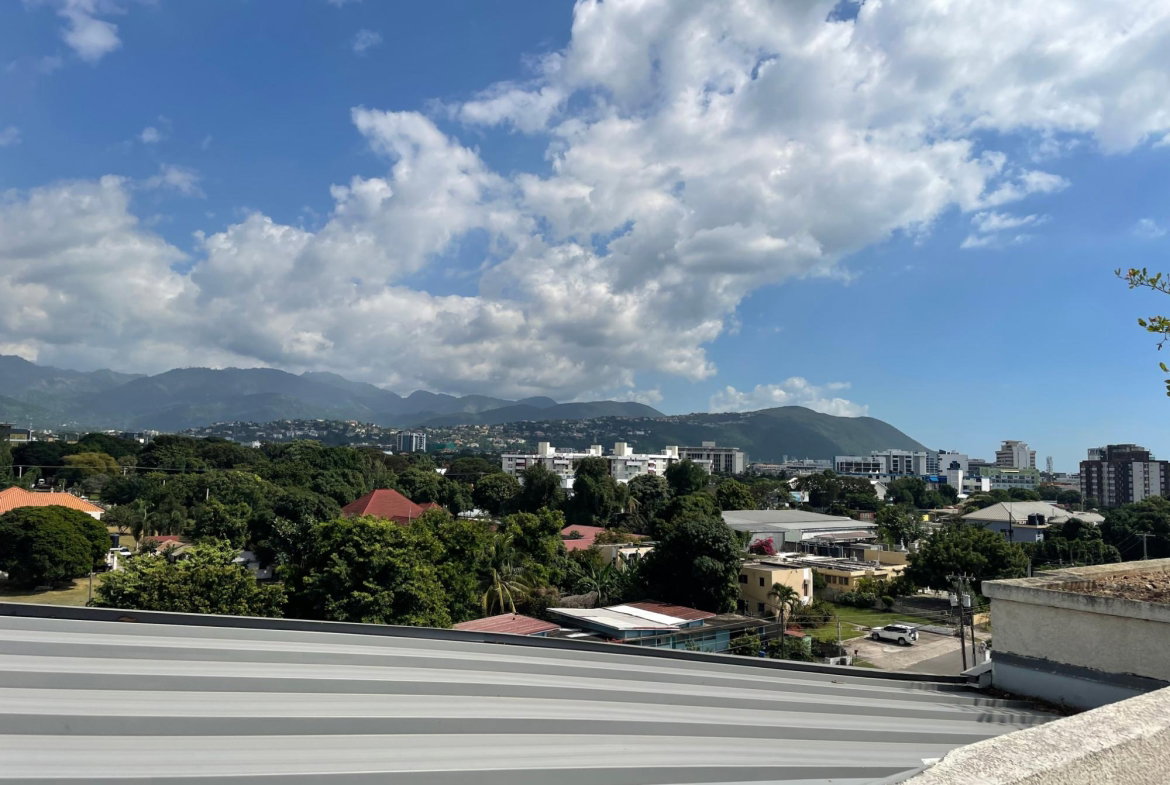 Twenty-First image of 10 Surbiton Ave, Kingston 10 in Kingston 10, St. Andrew, Jamaica - property is For Rent