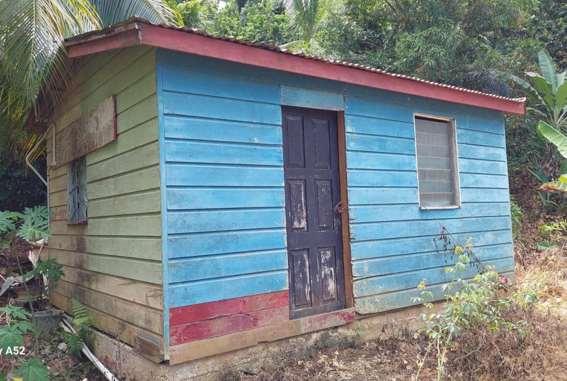 Fifth image of Lot 54 Leyton Crescent in Hopewell, Portland, Jamaica - property is For Sale