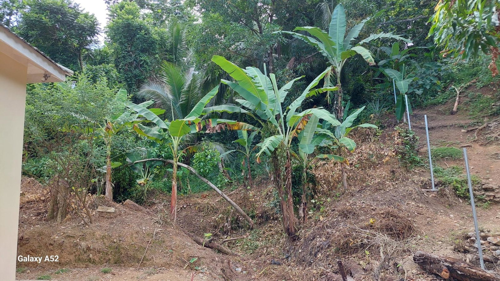 Two-Bungalow-Homes-for-Sale-in-Portland-Jamaica Seventh image of Lot 54 Leyton Crescent in Hopewell, Portland, Jamaica - property is For Sale