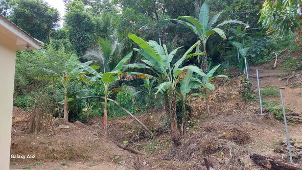 Seventh image of Lot 54 Leyton Crescent in Hopewell, Portland, Jamaica - property is For Sale