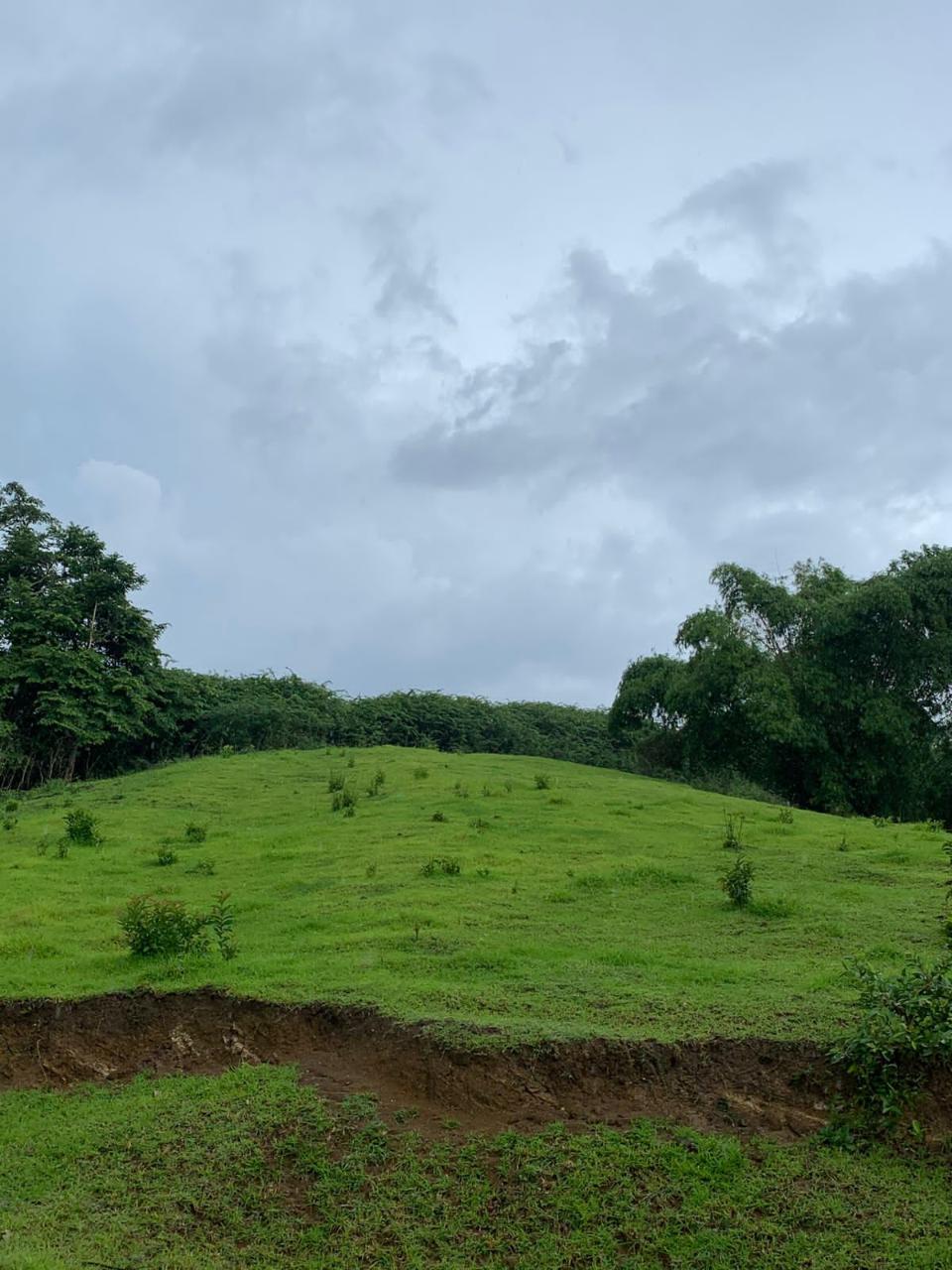 Third image of Green Island in Green Island, Hanover, Jamaica - property is For Sale