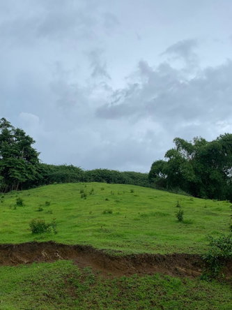 Third image of Green Island in Green Island, Hanover, Jamaica - property is For Sale