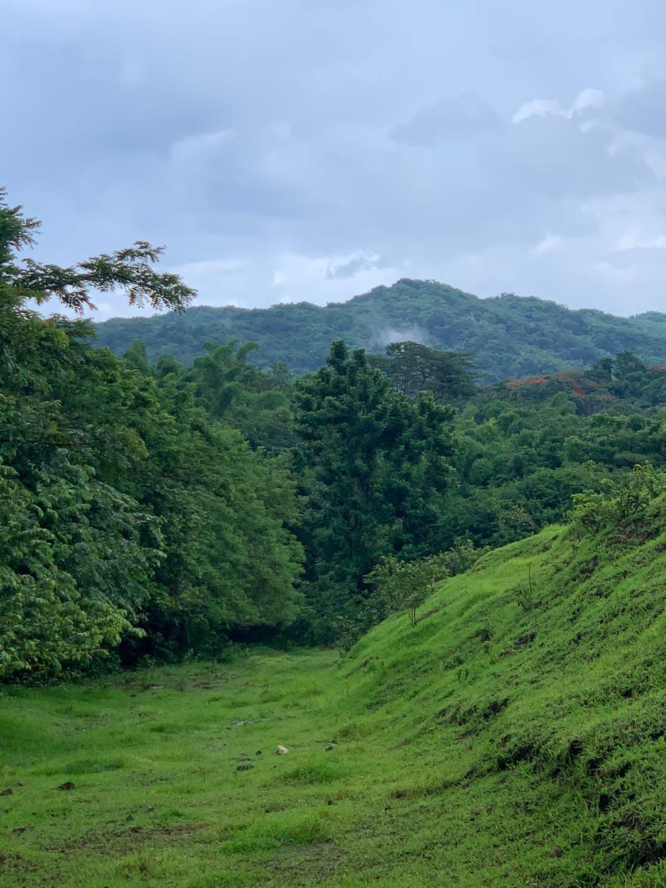 Fourth image of Green Island in Green Island, Hanover, Jamaica - property is For Sale