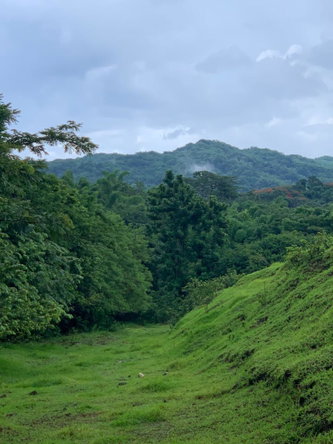 Fourth image of Green Island in Green Island, Hanover, Jamaica - property is For Sale