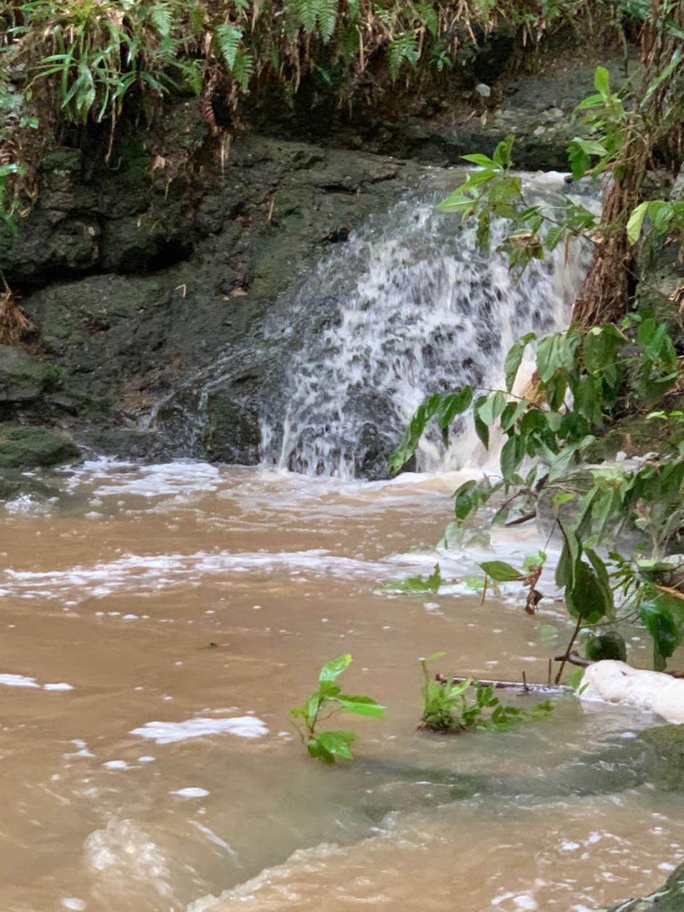 Sixth image of Green Island in Green Island, Hanover, Jamaica - property is For Sale