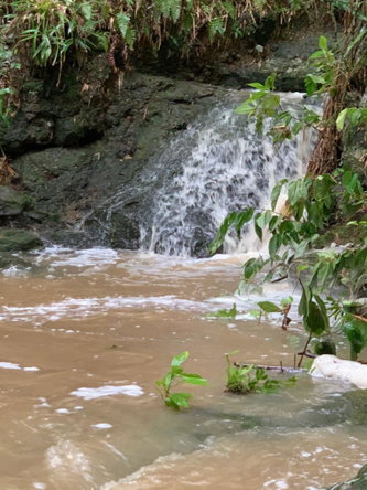 Sixth image of Green Island in Green Island, Hanover, Jamaica - property is For Sale