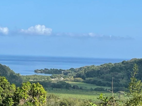 First image of Green Island in Green Island, Hanover, Jamaica - property is For Sale